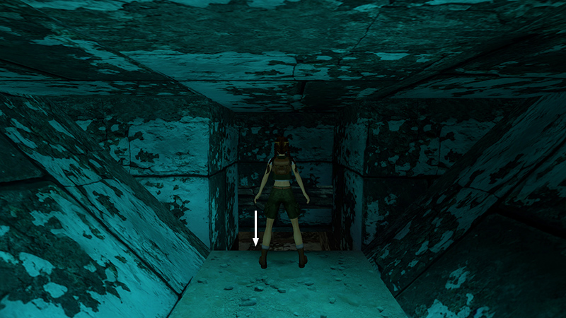Tomb Raider Chronicles Remastered screenshot