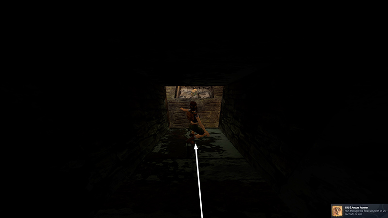 Tomb Raider Chronicles Remastered screenshot