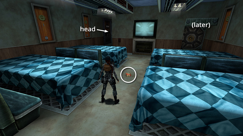 Tomb Raider Chronicles Remastered screenshot