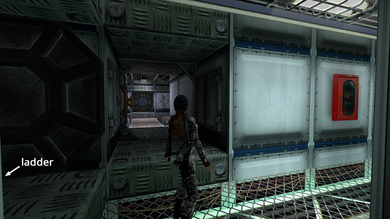 Tomb Raider Chronicles Remastered screenshot