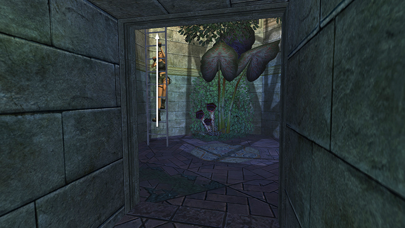 Tomb Raider Angel of Darkness Remastered screenshot